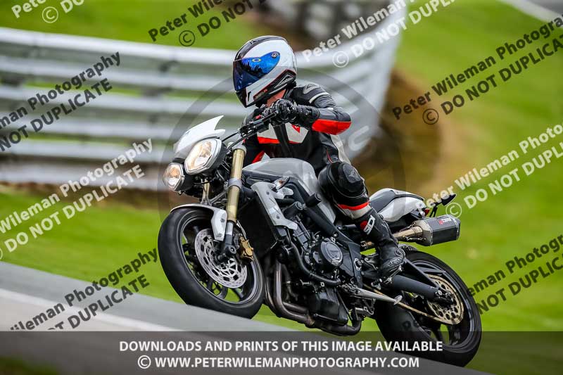 PJ Motorsport 2019;anglesey;brands hatch;cadwell park;croft;donington park;enduro digital images;event digital images;eventdigitalimages;mallory;no limits;oulton park;peter wileman photography;racing digital images;silverstone;snetterton;trackday digital images;trackday photos;vmcc banbury run;welsh 2 day enduro